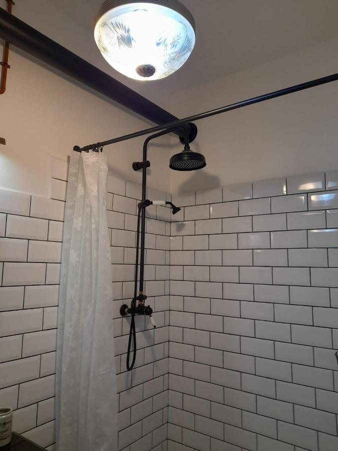 Zlata Leta - Apartmanovy Dum Jáchymov Eksteriør billede