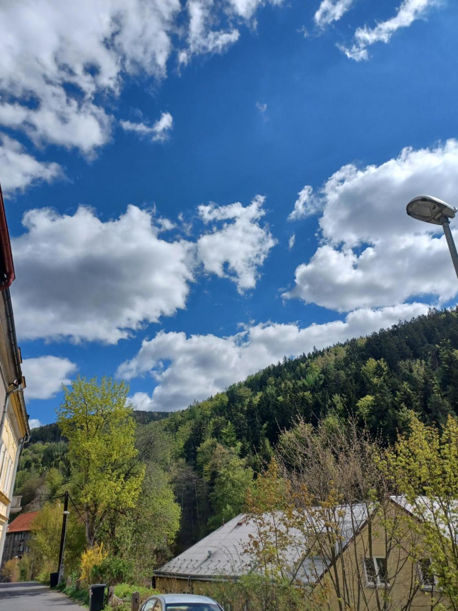 Zlata Leta - Apartmanovy Dum Jáchymov Eksteriør billede